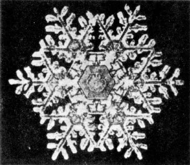 Figure 65: Snow crystals: Vector Equilibrum