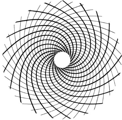 Figure 71: (c) Sunflower. The ratio of clockwise to counter-clockwise spirals is always Ø. These interlocking spirals appear wherever we find leaves, kernels, buds or other floral patterns. See, for example, the kernels on a pine cone or the buds on a pineapple. (Η. Ε. Huntley, The Divine Proportion, New York, 1970.)
