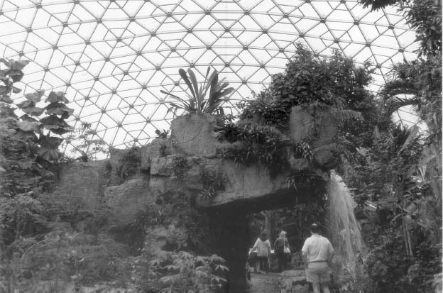 Figure 34: Climatron, St Louis. (©Robert Duchesnay, 1990)
