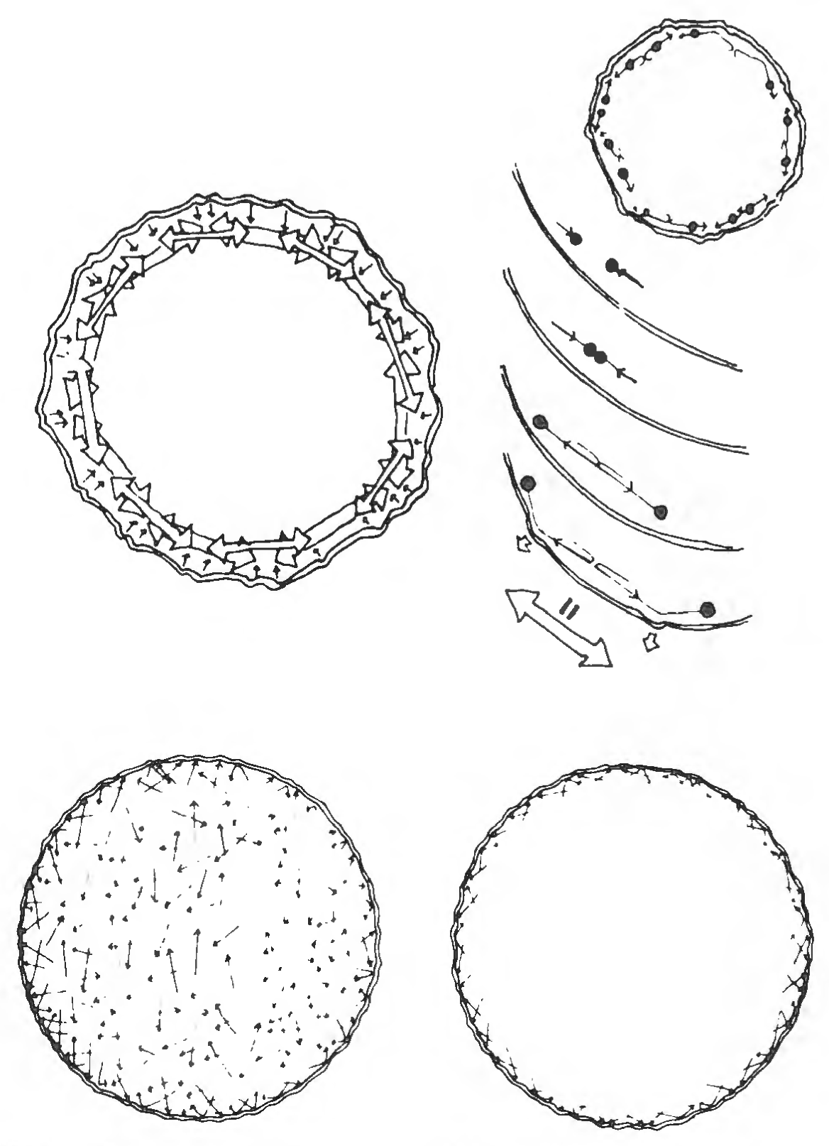 Figure 66: Chordal ricochet pattern in stretch action of a balloon net. A gas balloon’s exterior tension “net” has the shape that it has because some of the molecules are too large to escape and, crowded by the other molecules, are hitting the balloon. But the molecules do not huddle together at the center and then simultaneously explode outward to hit the balloon skin in one omnidirectionally outbound wave. The molecules near the surface are coursing in chordally ricocheting patterns all around the inner net’s surface. I therefore saw that because every action has its reaction, it would be possible to pair all the molecules so that they would behave like two swimmers who dive into a swimming tank from opposite ends, meet in the middle, and then, employing each other’s inertia, shove off from each other’s feet in opposite directions.