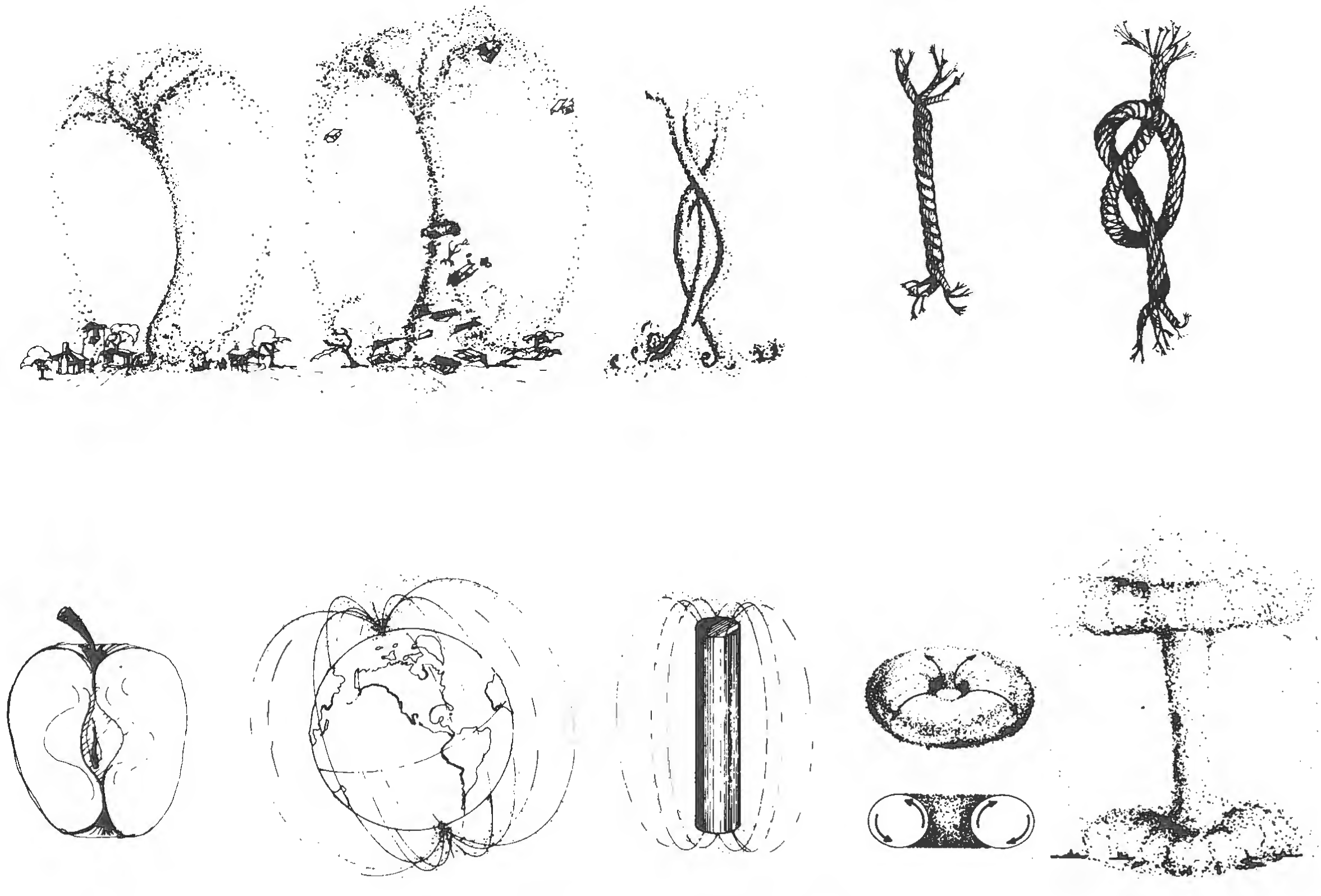 Figure 87: Involution and evolution.