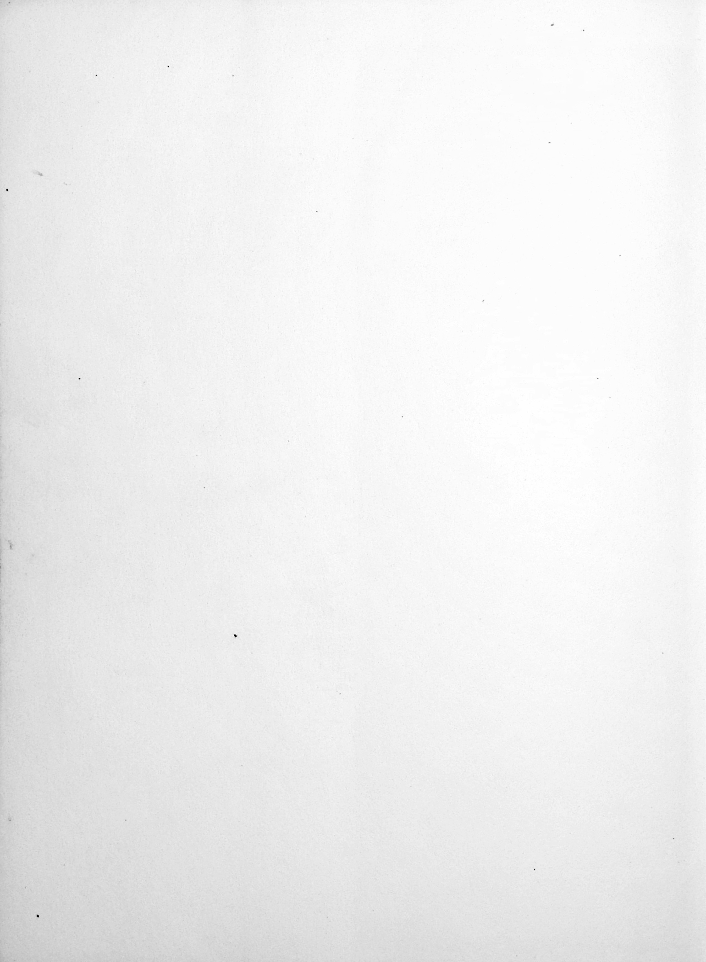 scan-133.jpg