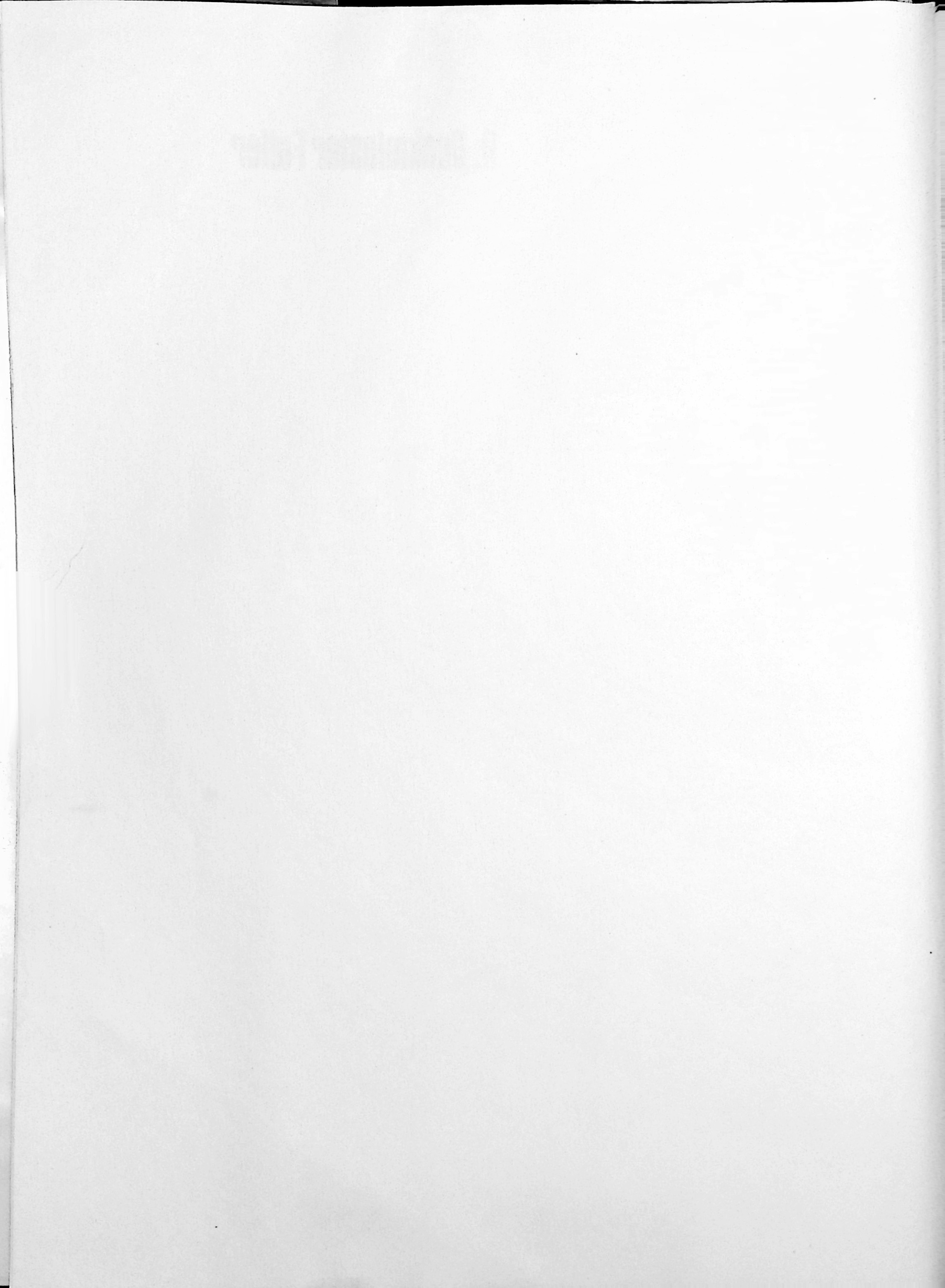 scan-5.jpg