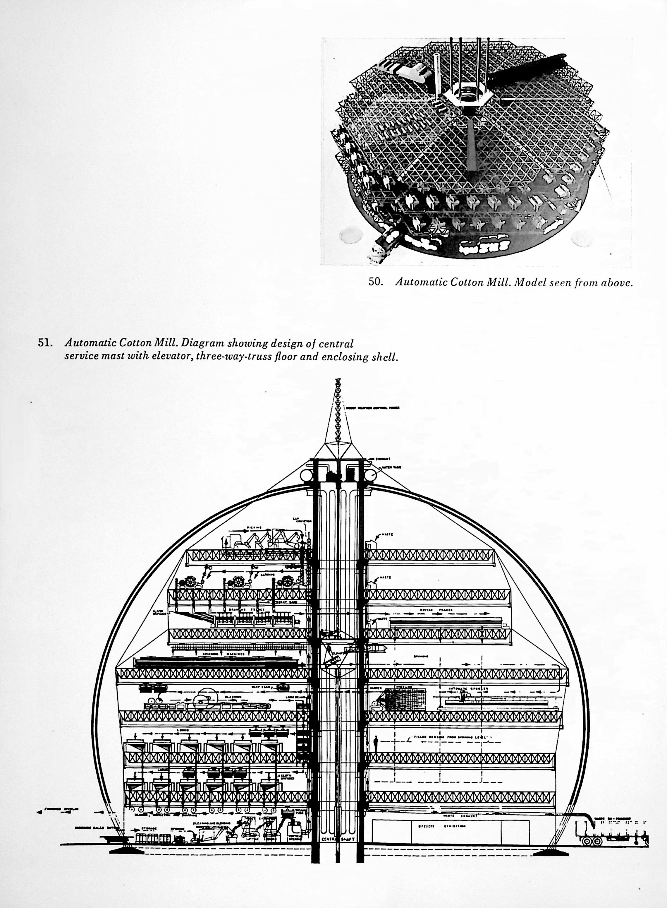 scan-81.jpg