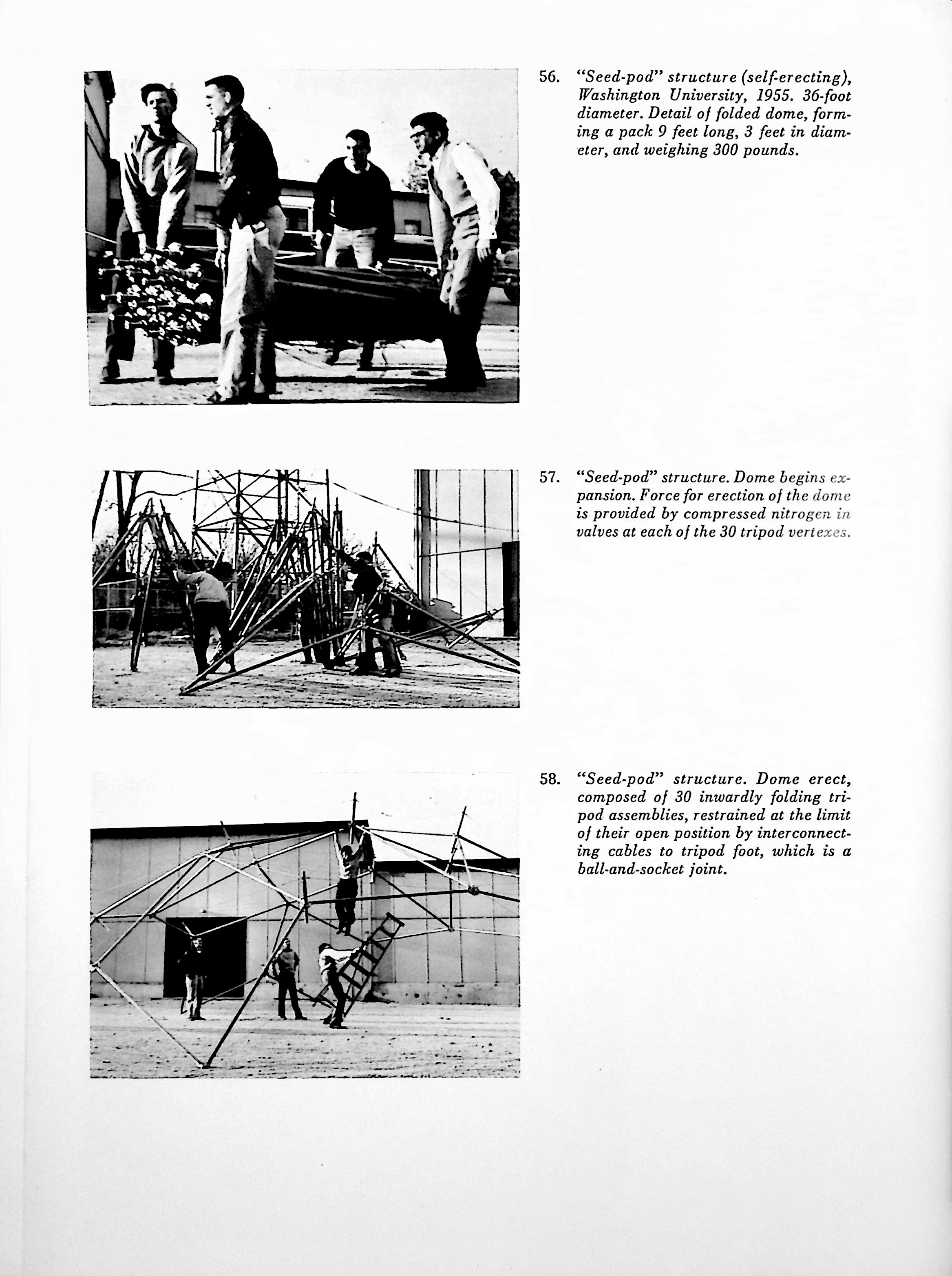 scan-85.jpg