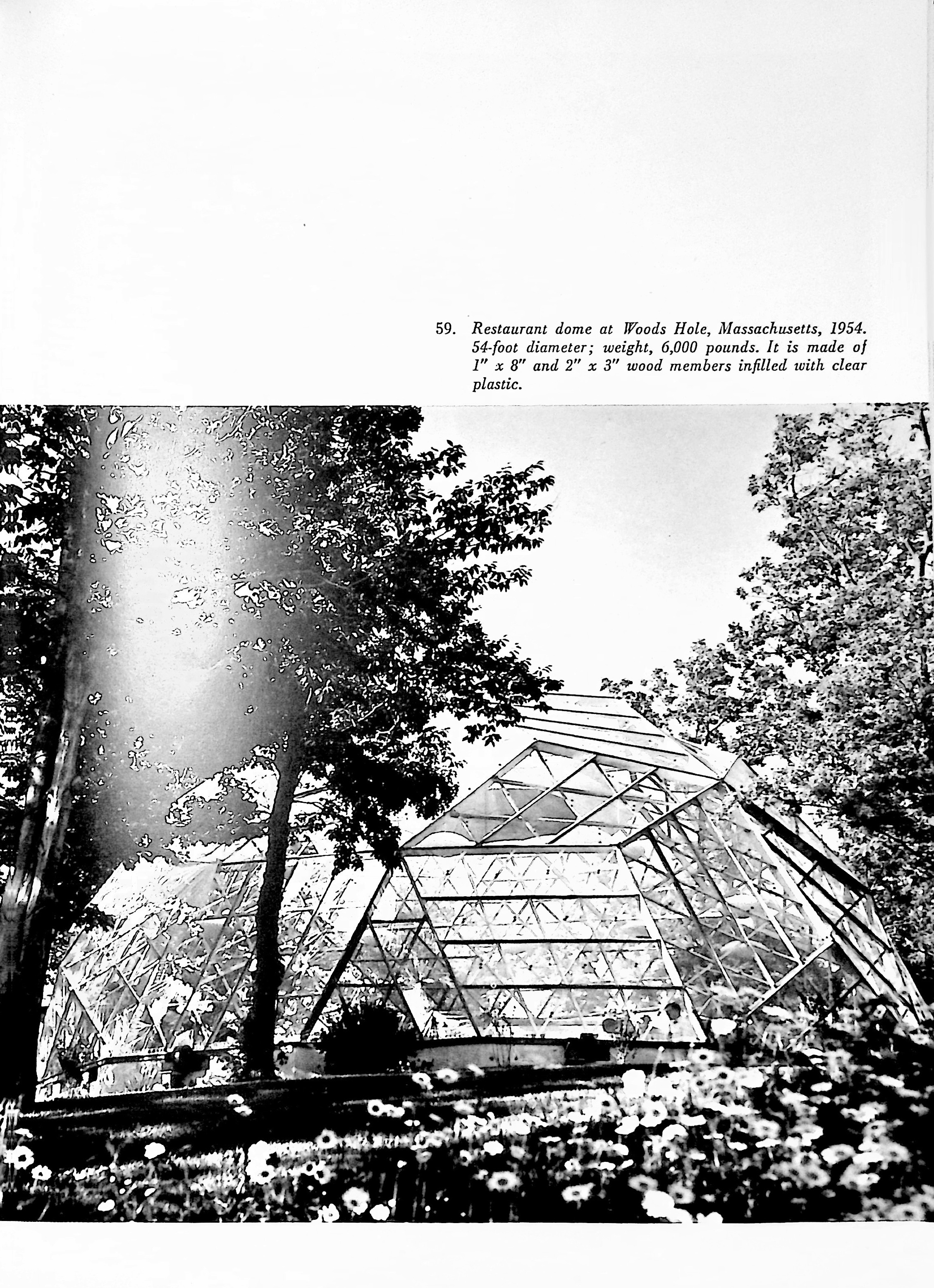 scan-86.jpg
