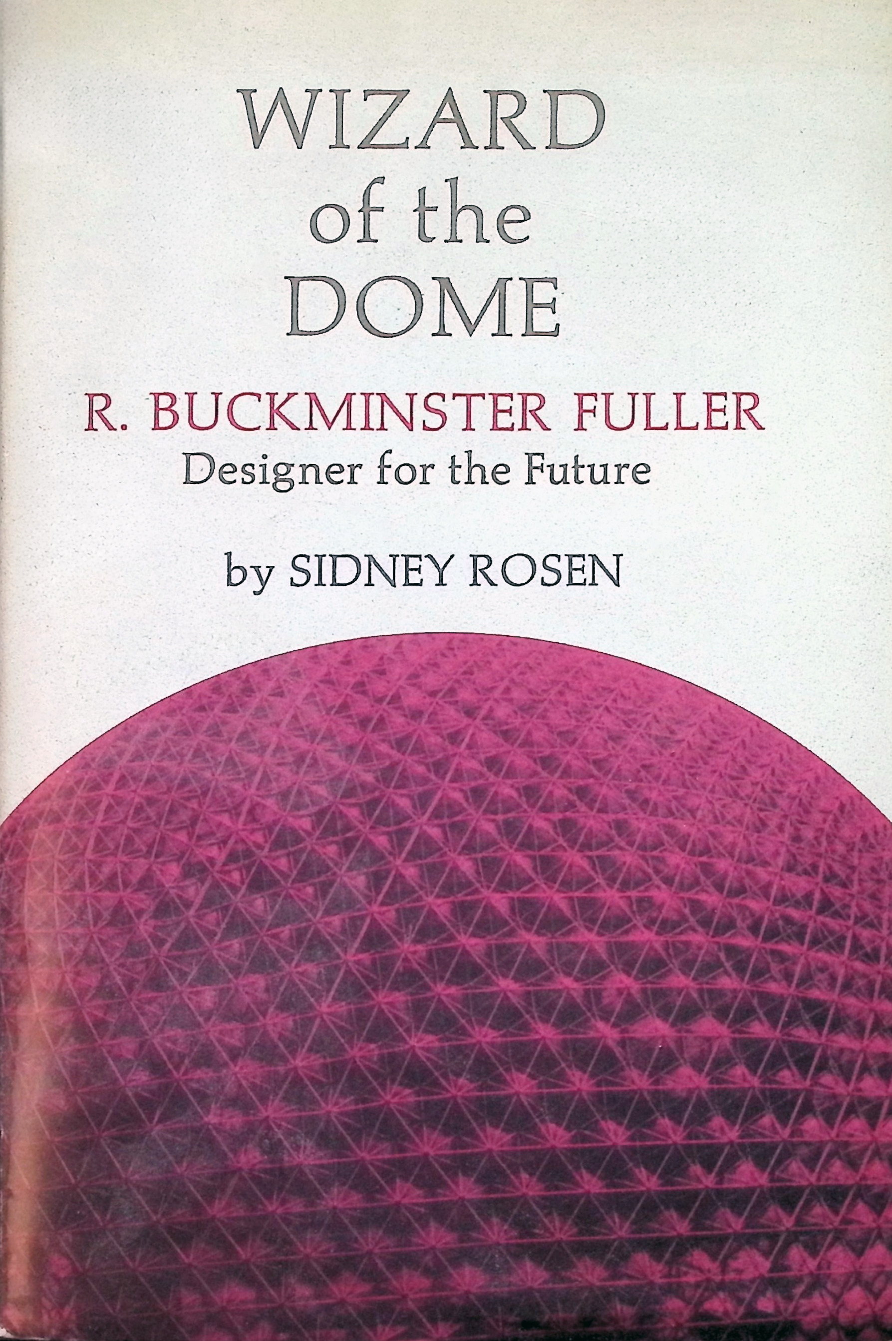 wizard_of_the_dome cover image