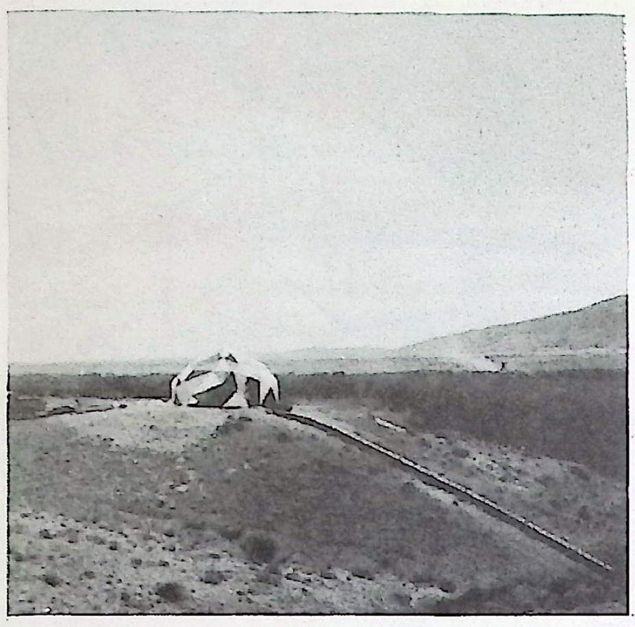 Figure 1: Zome