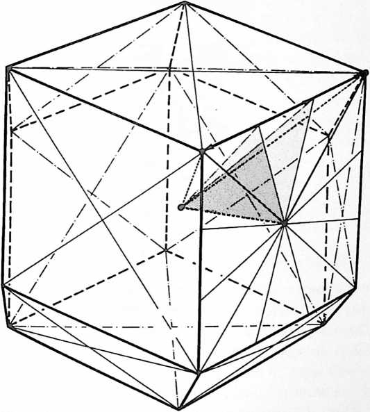 Figure 45: Fig. 986.433 RHOMBIC DODECAHEDRON (See color plate 25)