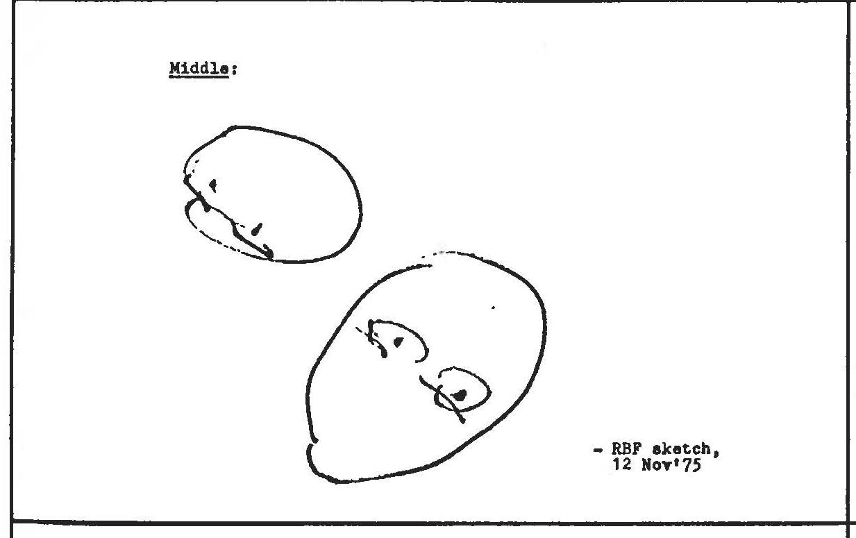 Figure 10556: C10548